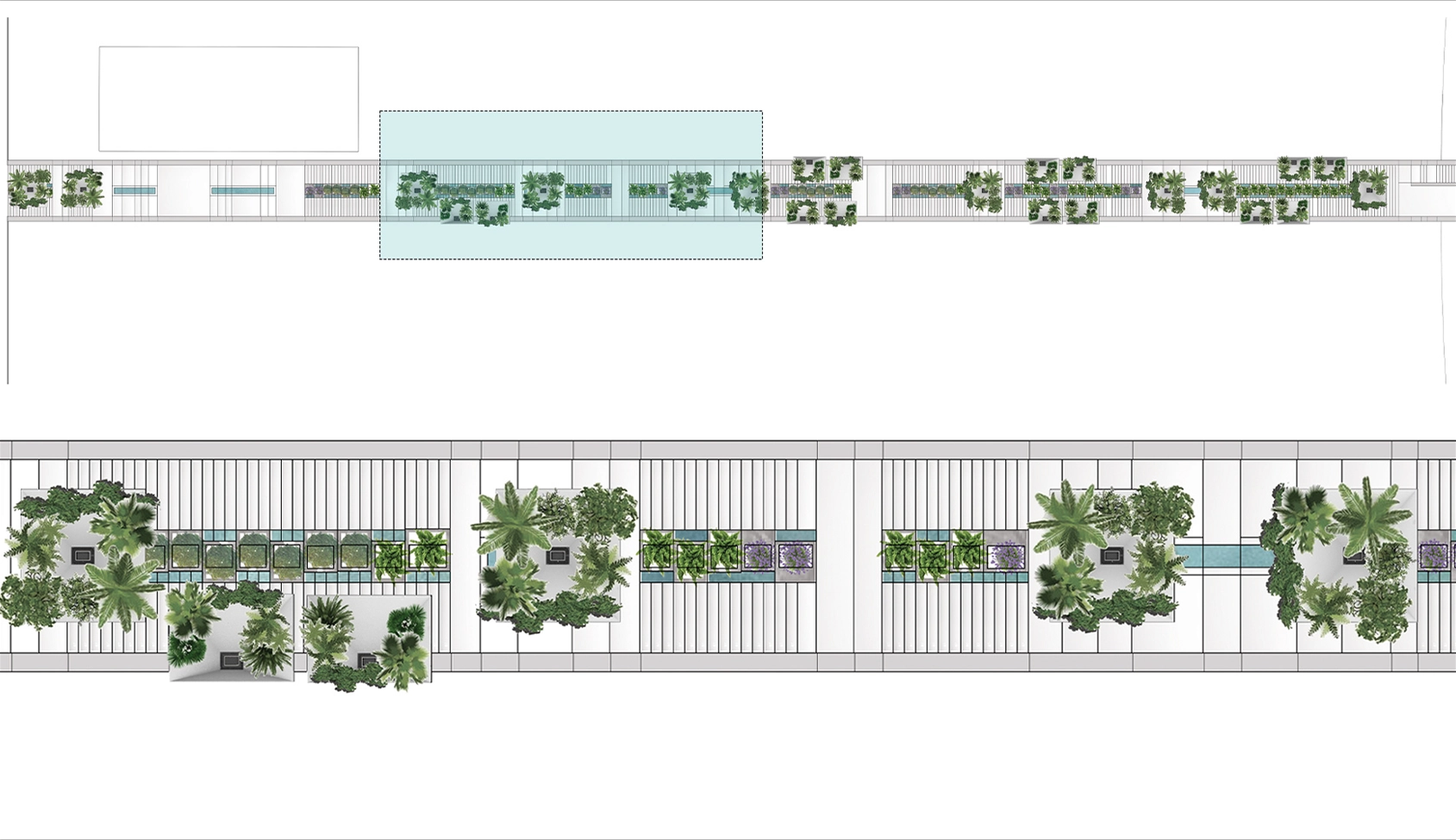 Tree Unit plan, second segment.