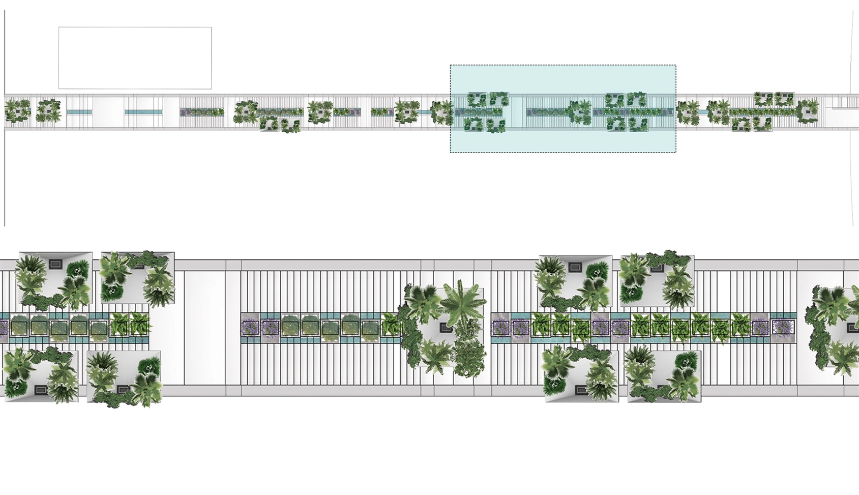 Tree Unit plan, third segment.