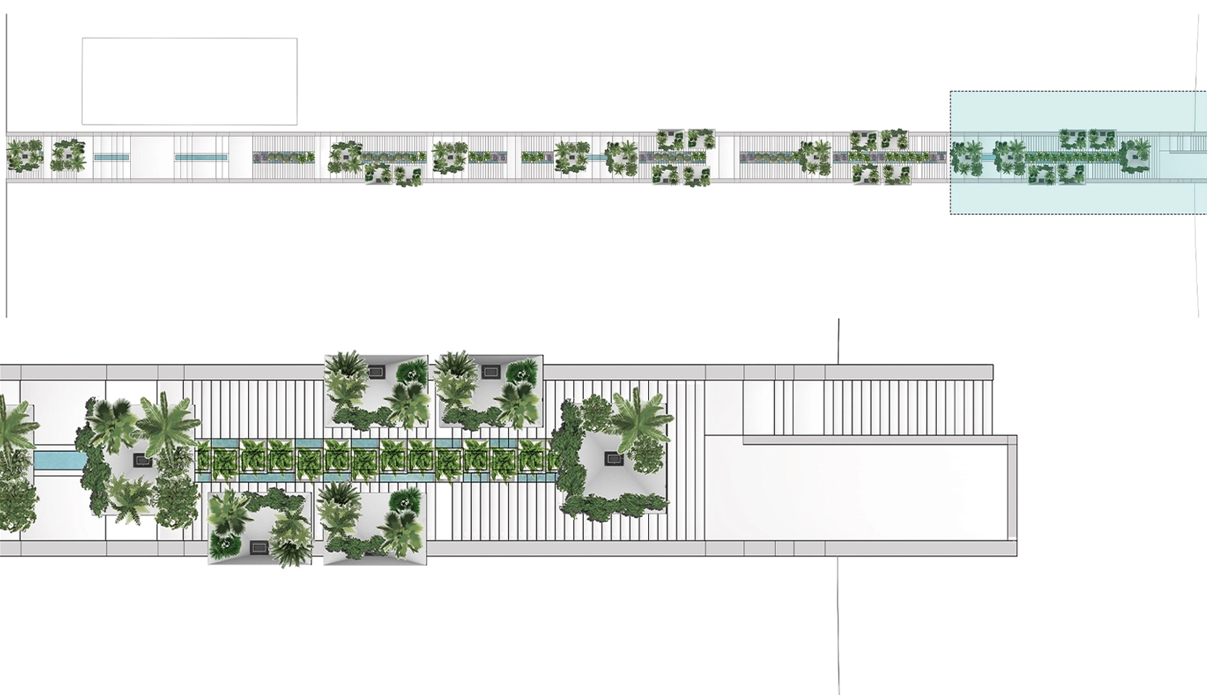 Tree Unit plan, fourth segment.