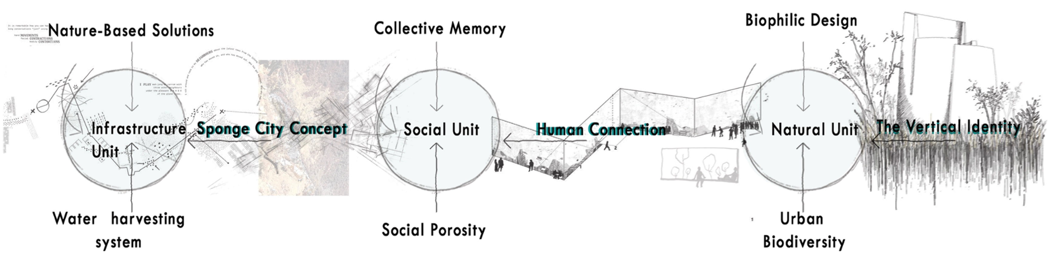 Concept sequence connecting nature-based solutions, collective memory, social porosity, human connection, biophilic design, and vertical identity.